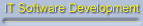IT Software Development